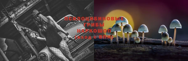 а пвп мука Алзамай