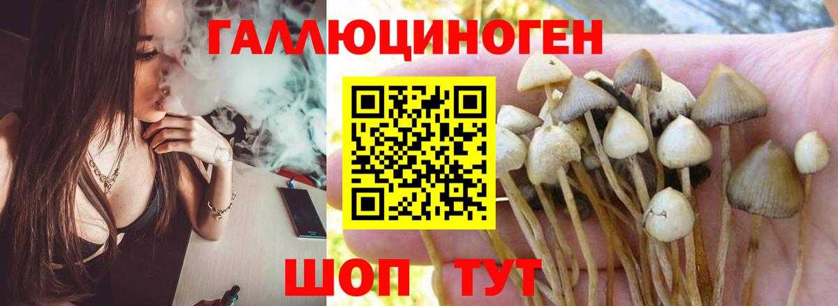 Галлюциногенные грибы Magic Shrooms Сочи