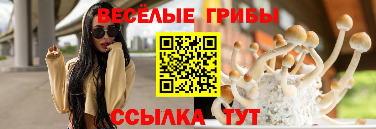 Псилоцибиновые грибы Magic Shrooms  Вход с VPN  Сочи 